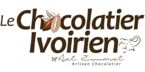 Design_sans_titre_-_2024-04-13T151152.723_1